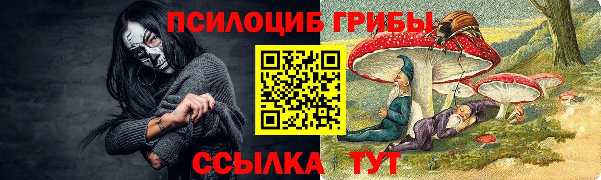 Псилоцибиновые грибы Psilocybe  Вход с VPN  Усть-Илимск 
